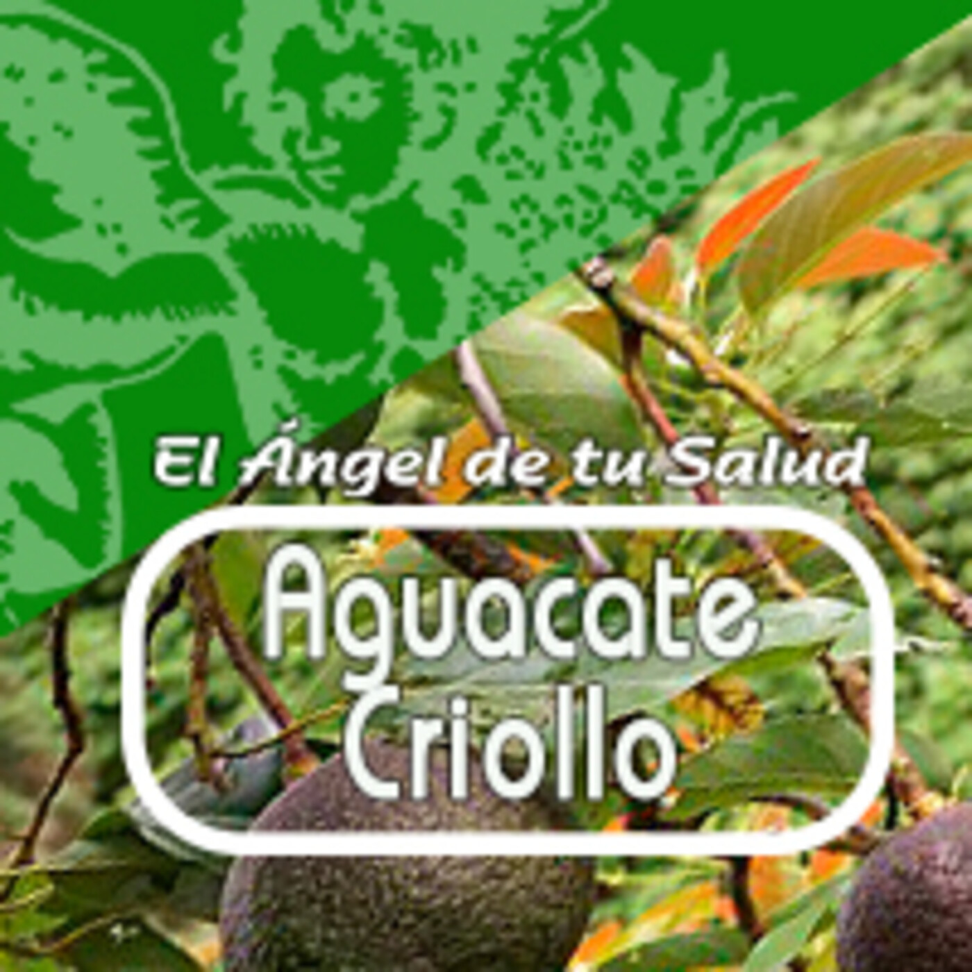 El Angel de tu Salud - AGUACATE CRIOLLO * episode artwork