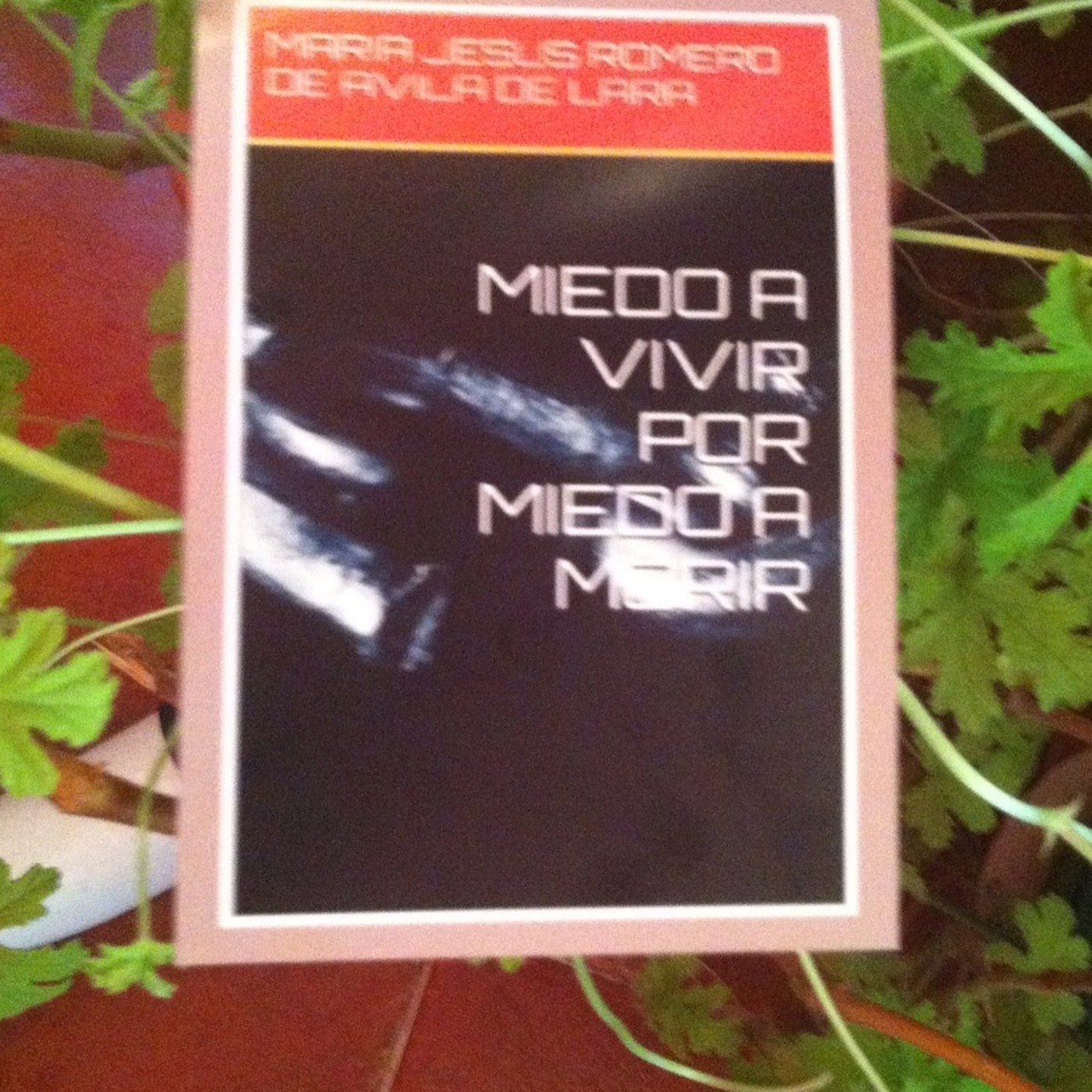 CAPITULO SEPTIMO NOVELA MIEDO A VIVIR POR MIEDO A MORIR episode artwork