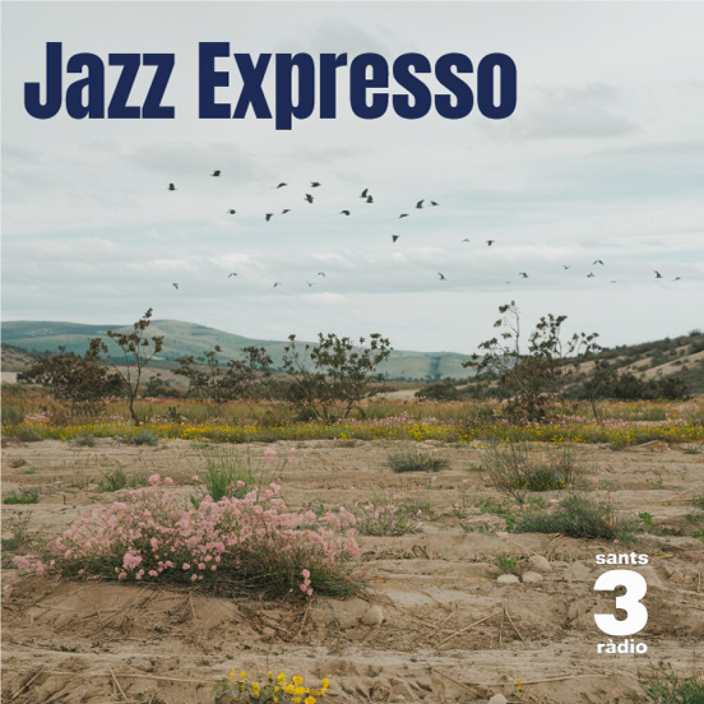 Jazz Expresso
