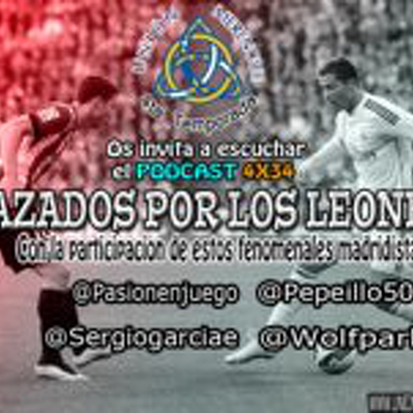 4X34 Cazados por los leones