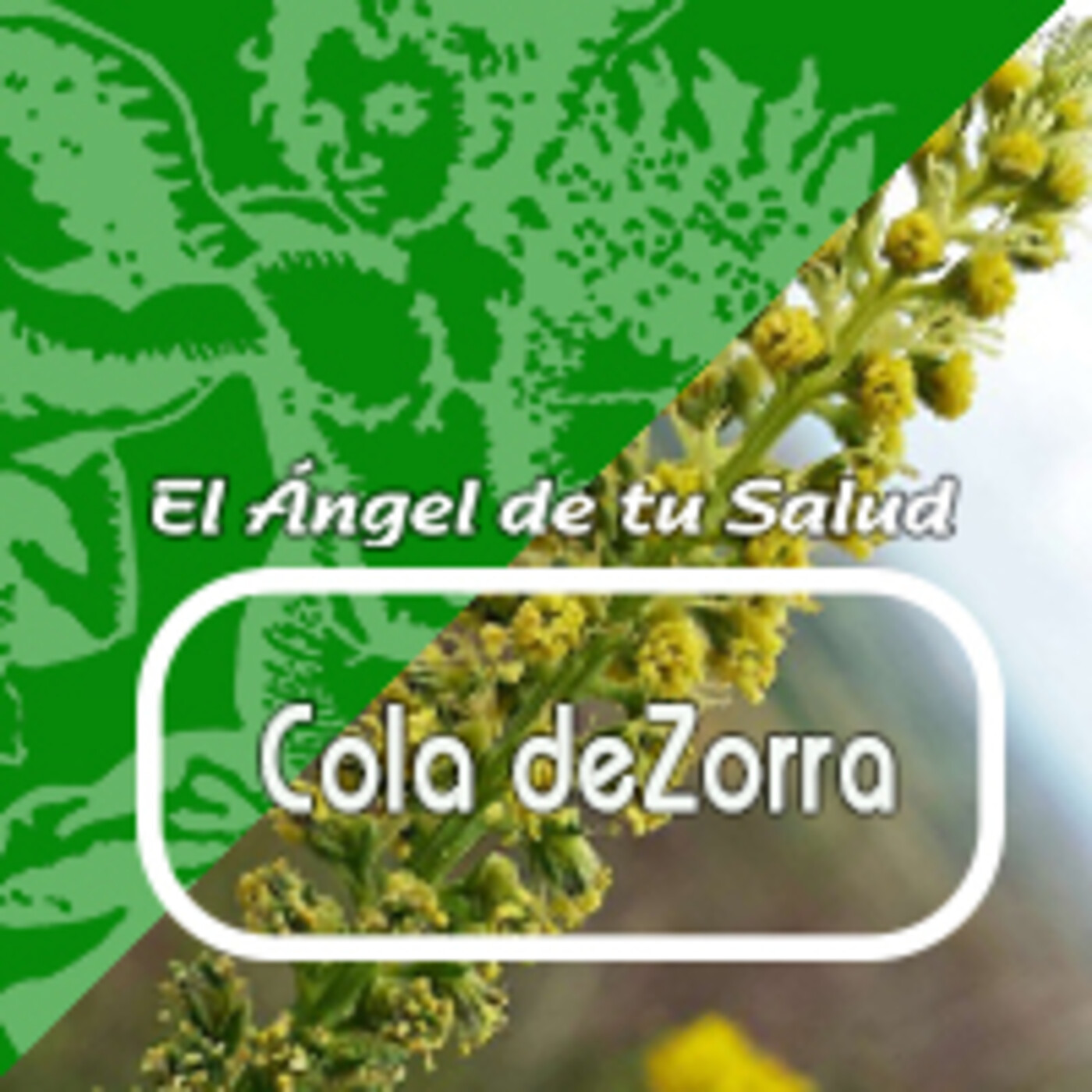 El Angel de tu Salud - COLA DE ZORRA*** episode artwork