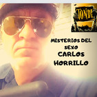 TONDI Misterios del sexo. Vol. 20" Sexo en noches de luna llena".