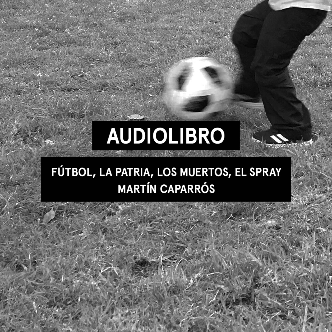 Audiolibros Por qué leer