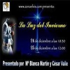 Zona Elvis - la luz del invierno