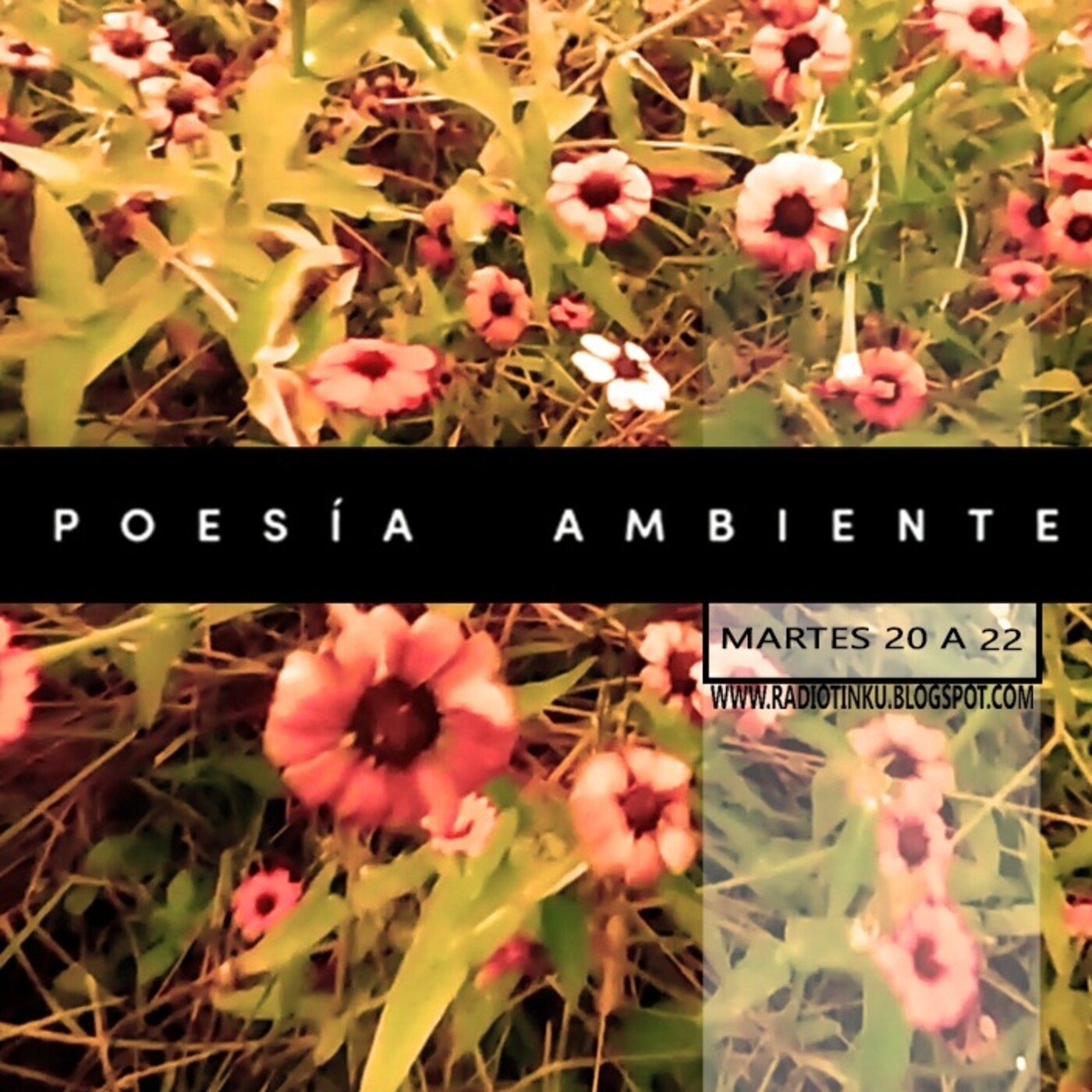 Poesía Ambiente