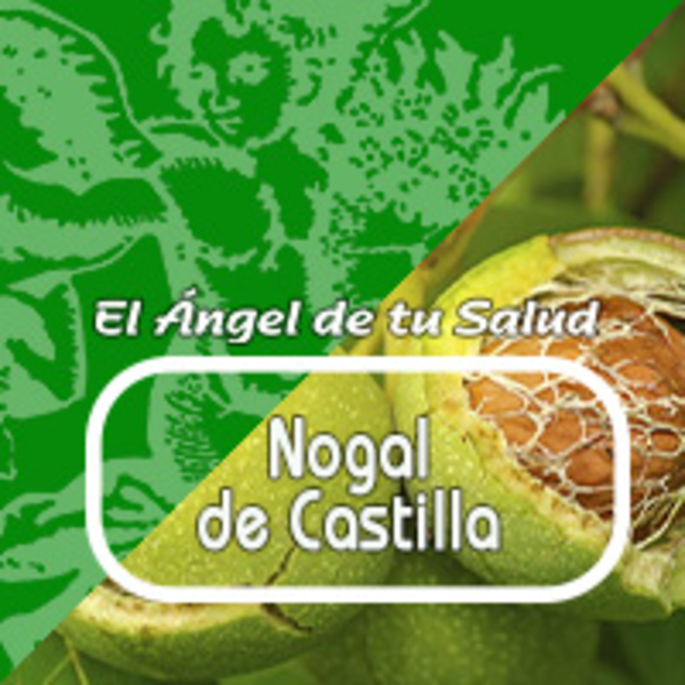 El Angel de tu Salud - NOGAL DE CASTILLA *** episode artwork