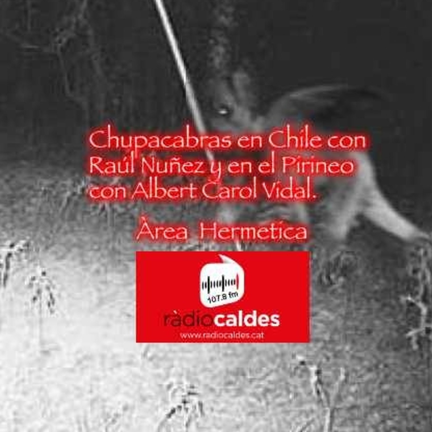 Area Hermetica Misteris