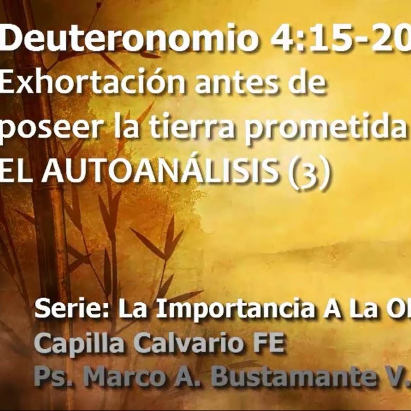 Deuteronomio - La importancia de la obediencia