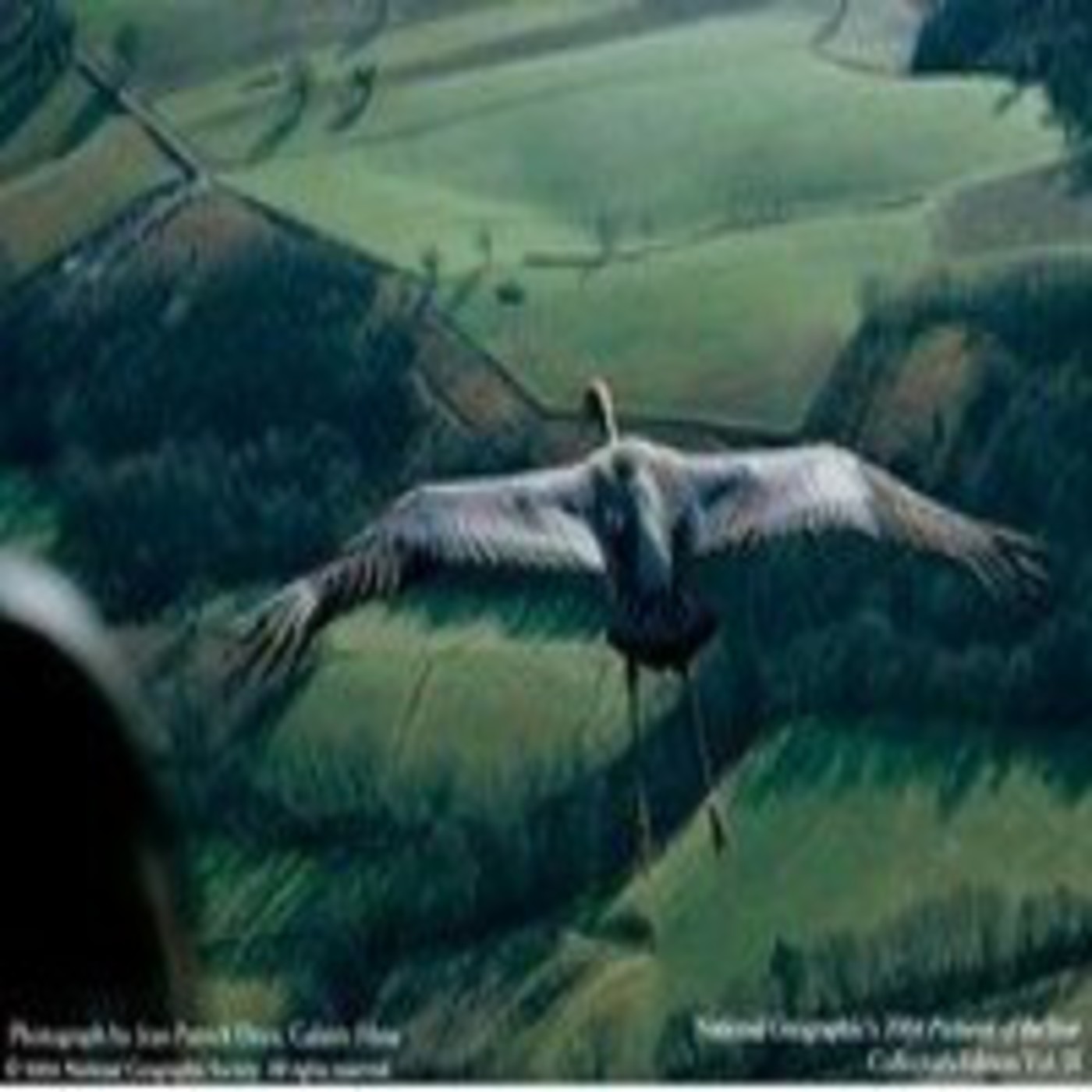 Cóndor episode artwork