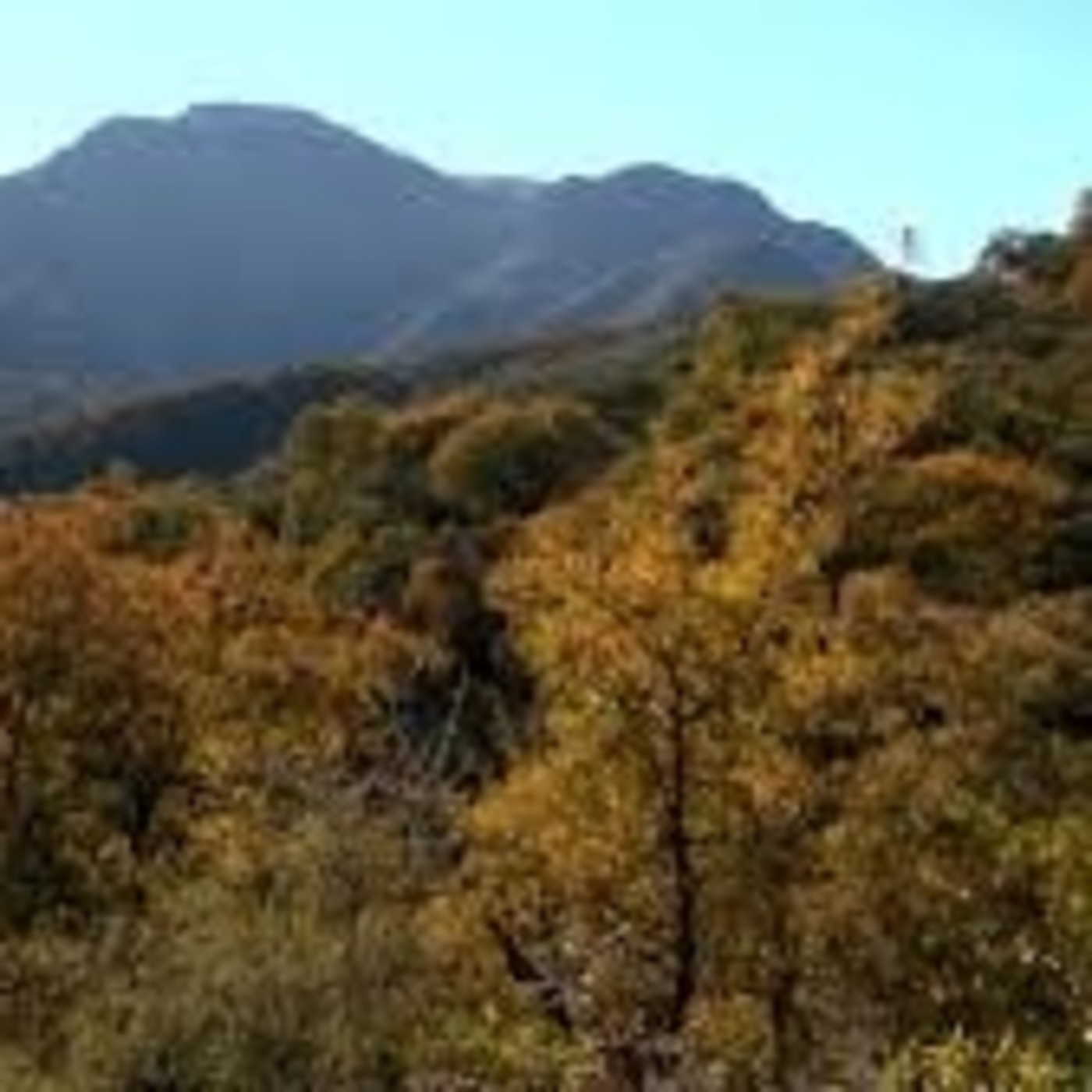 Podcast de Aviva Vozfm