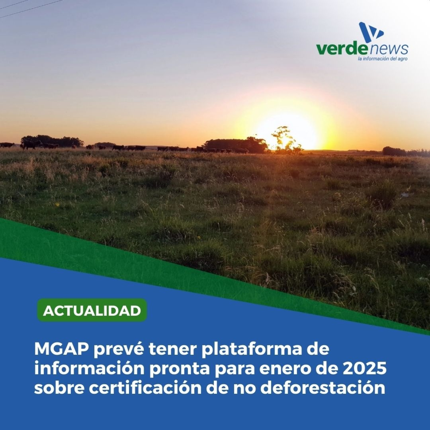 Carlos Faropa - titular de la Dirección Forestal MGAP - 09/10/24 episode artwork