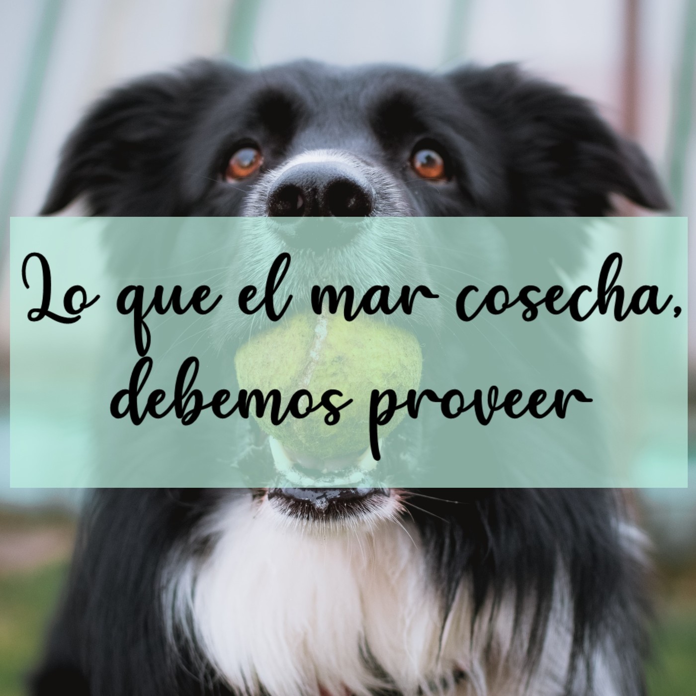 Las Escritoras de Urras