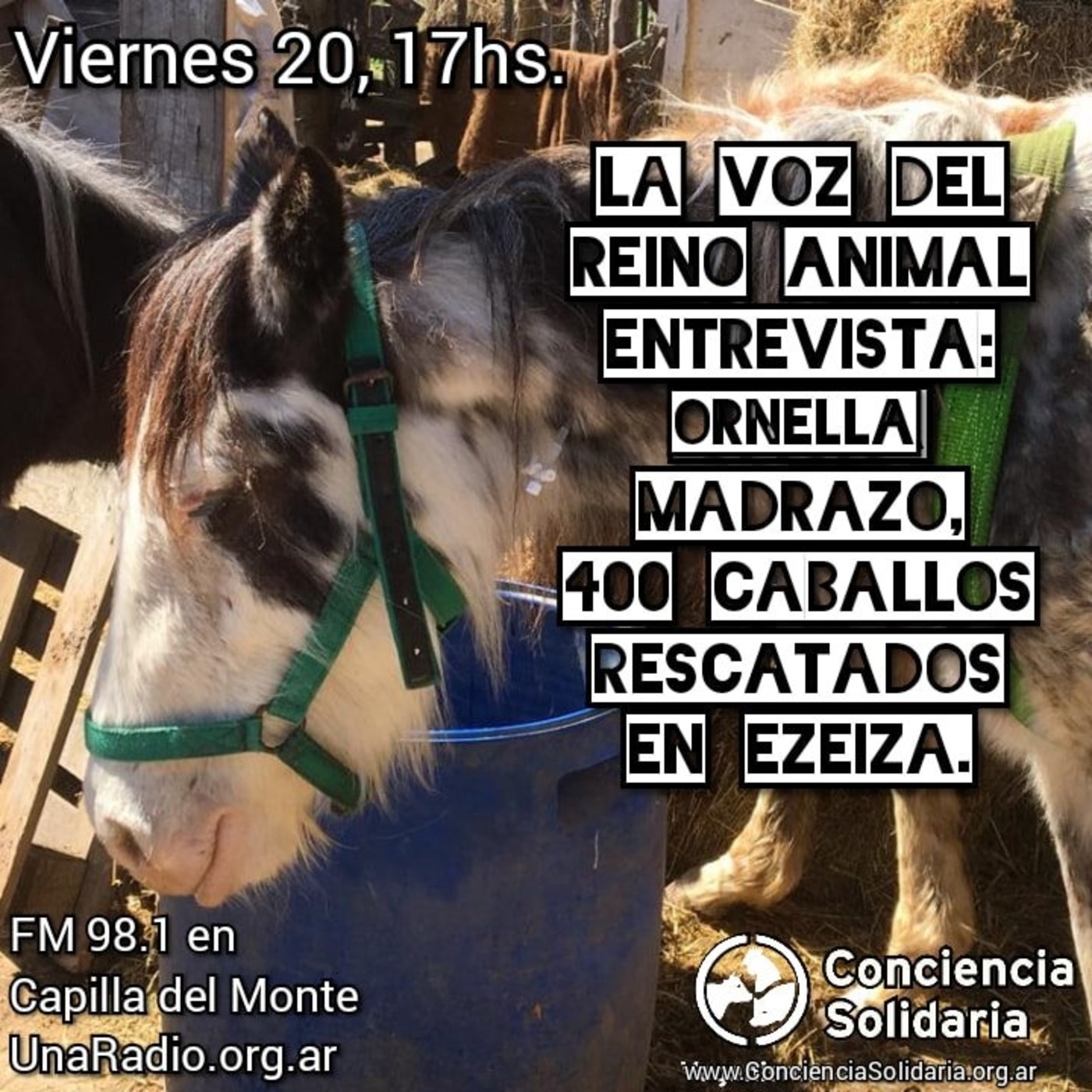 ¡#LaVozDelReinoAnimal! 20.9.19 episode artwork