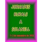 "El arte Románico" - Félix Rodrigo Mora, en Jornadas Rurales de Solanell
