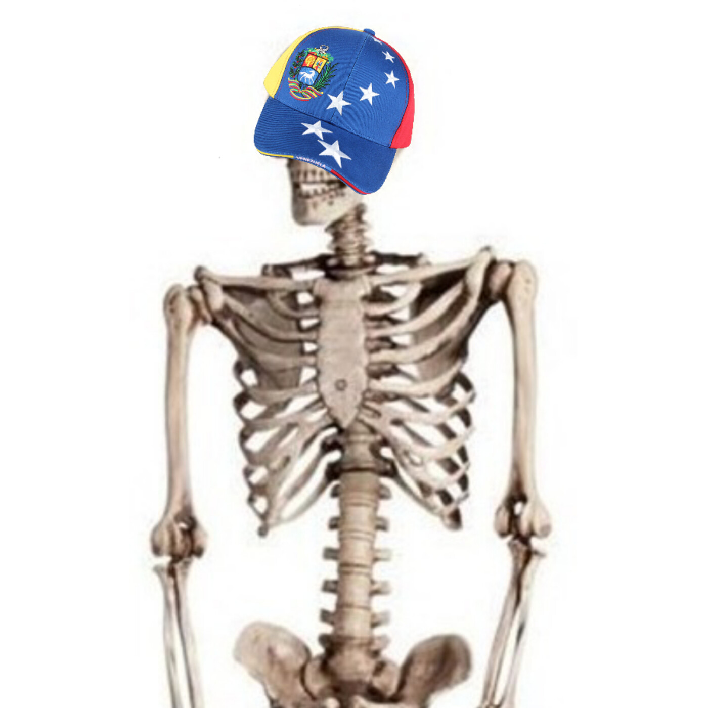 Carechimba  s h i t p o s t i n g