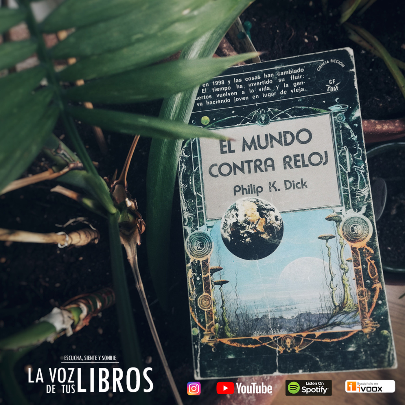 La Voz de tus Libros