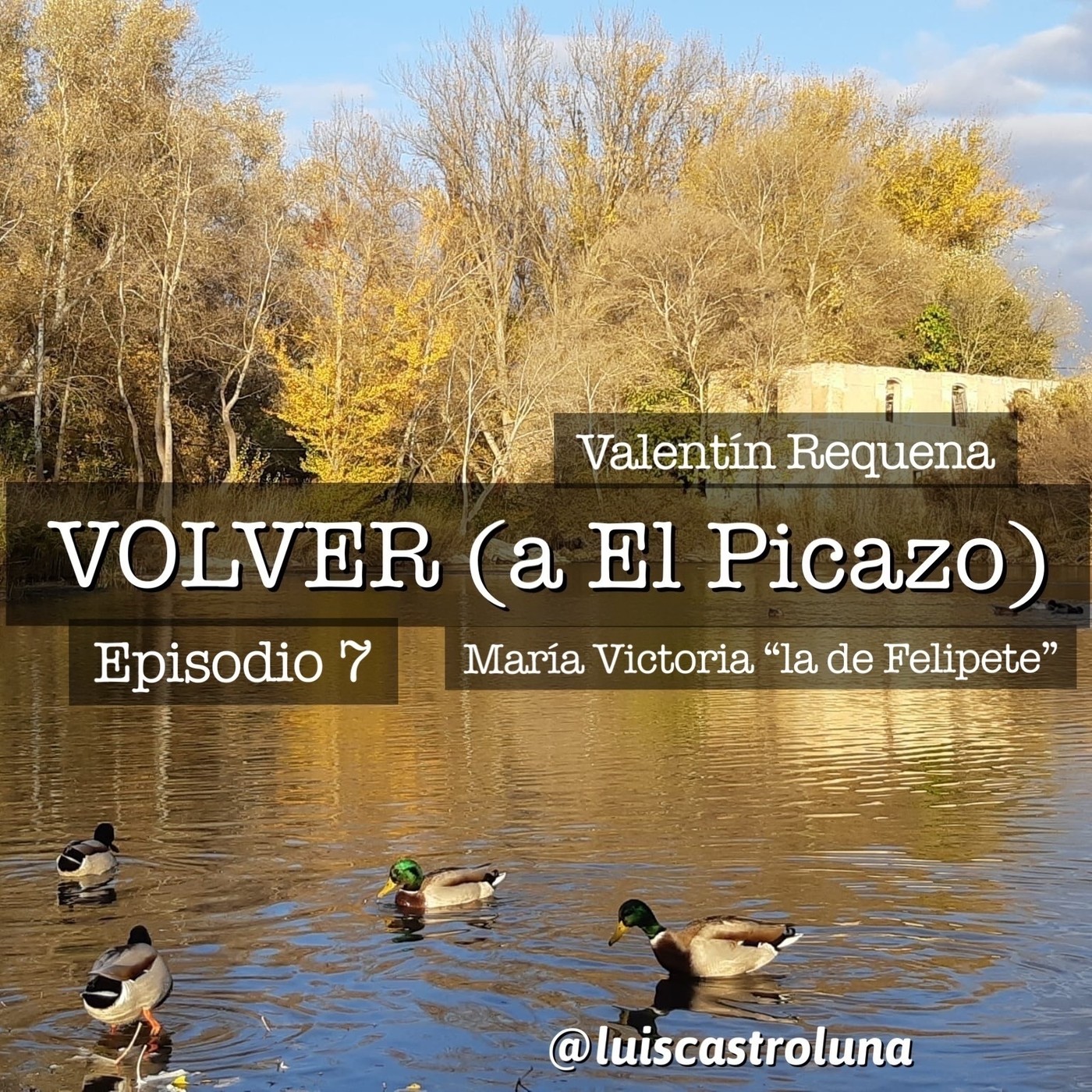 VOLVER (a El Picazo)