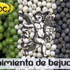 EL ÁNGEL DE TU SALUD- Rodrigo Mondragón - PIMIENTA DE BEJUCO
