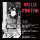 Vol. 8.11 Un Mes Pandémico