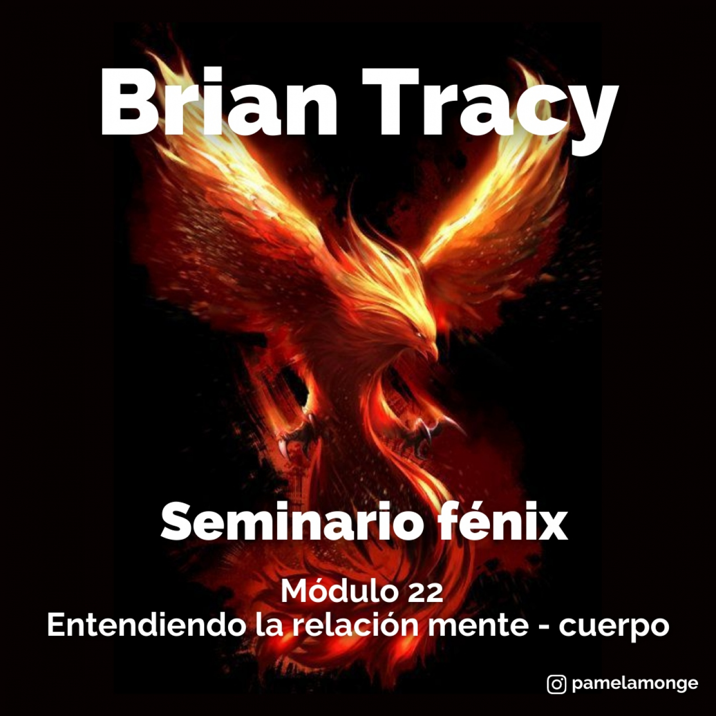 Seminario fénix - Brian Tracy