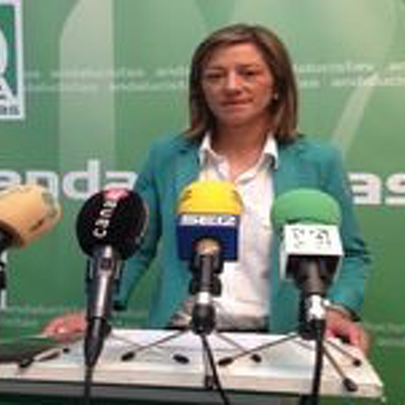 Partido Andalucista de Andújar