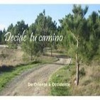 2011, lo que tú decidas