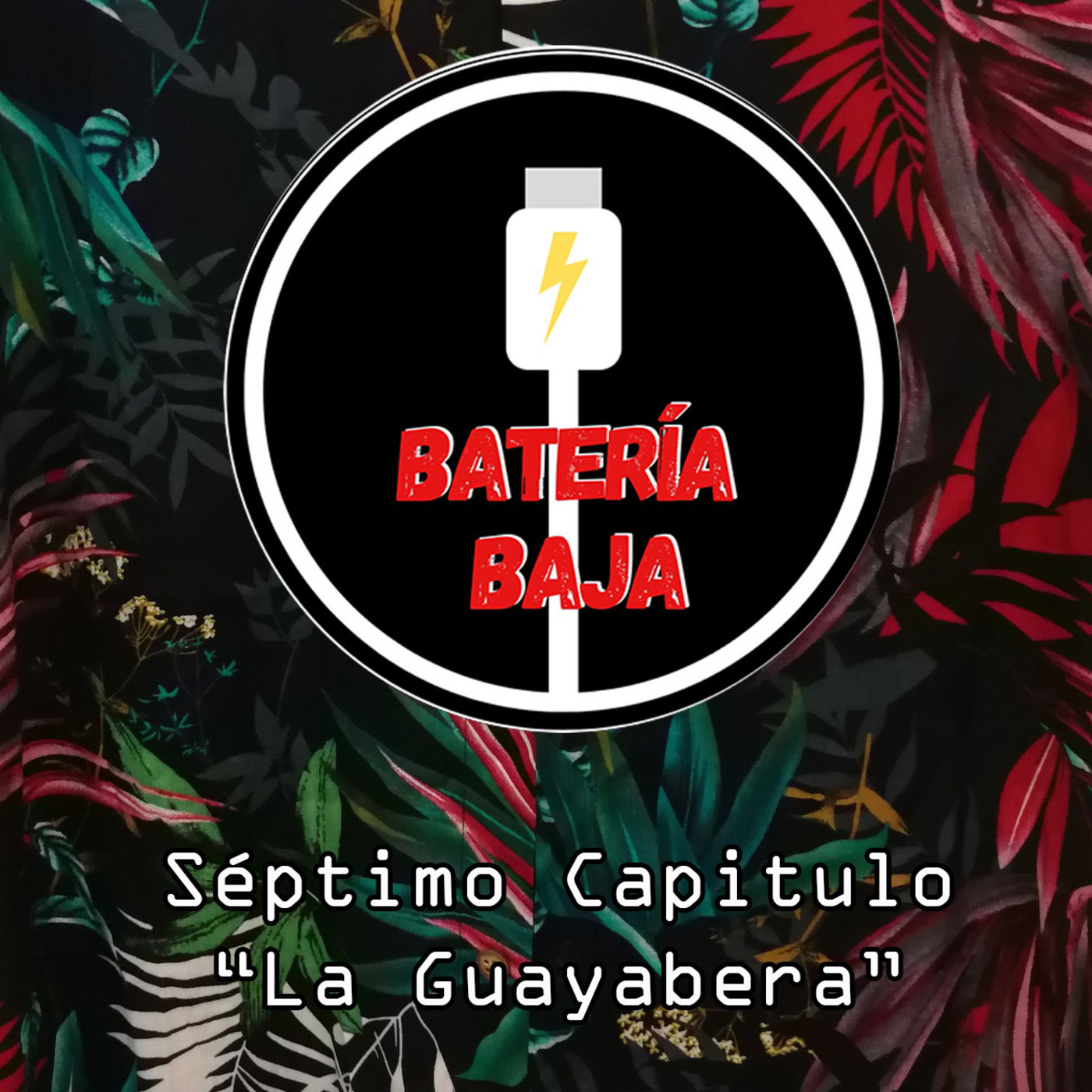 Bateria Baja