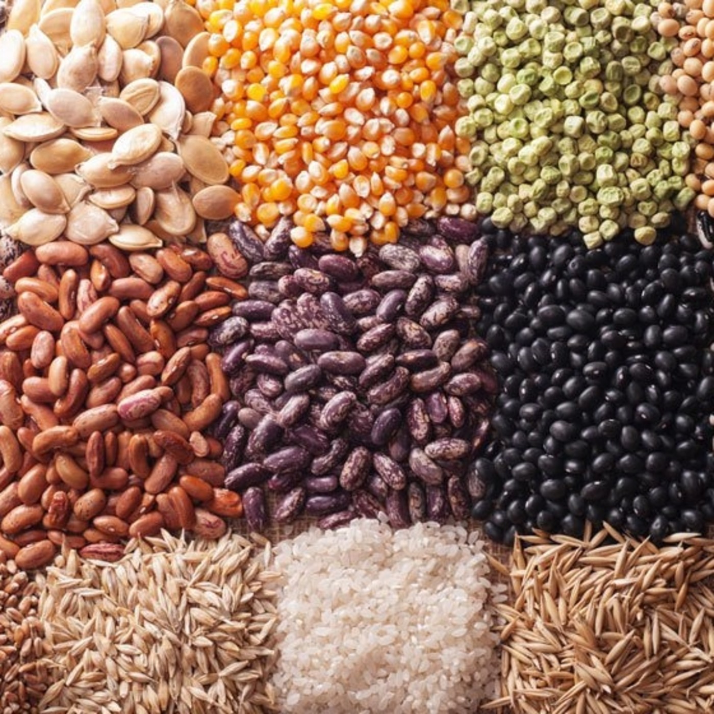 Episodio 23: Comer para tener salud