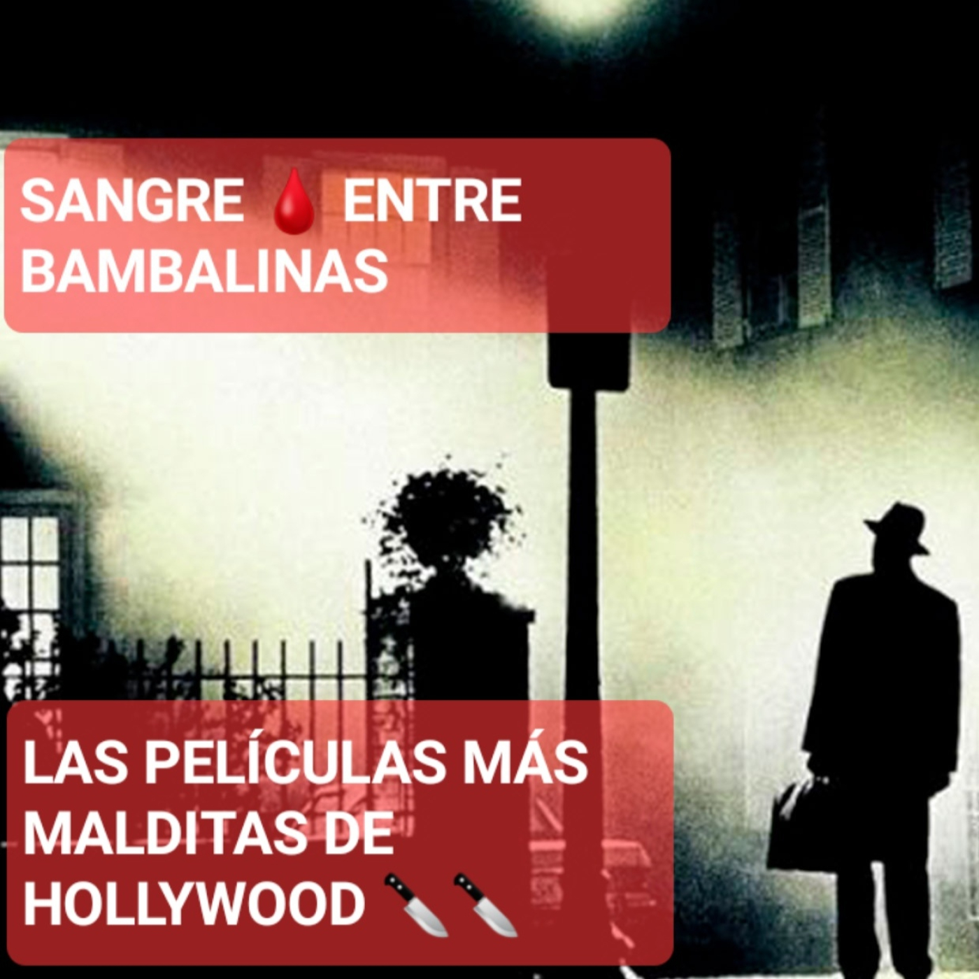 CRÓNICAS DE UN SERENO . ( El gato negro)