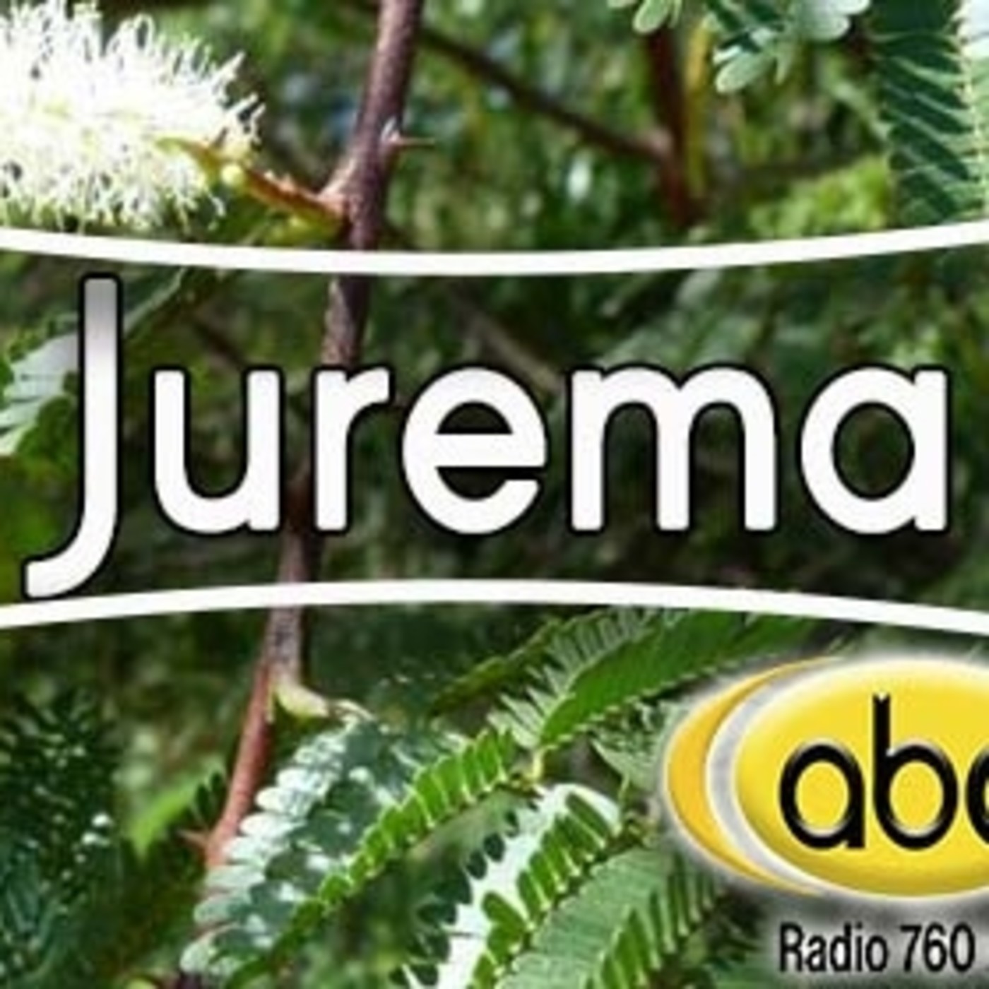 El Ángel de tu Salud - JUREMA CORTEZA episode artwork