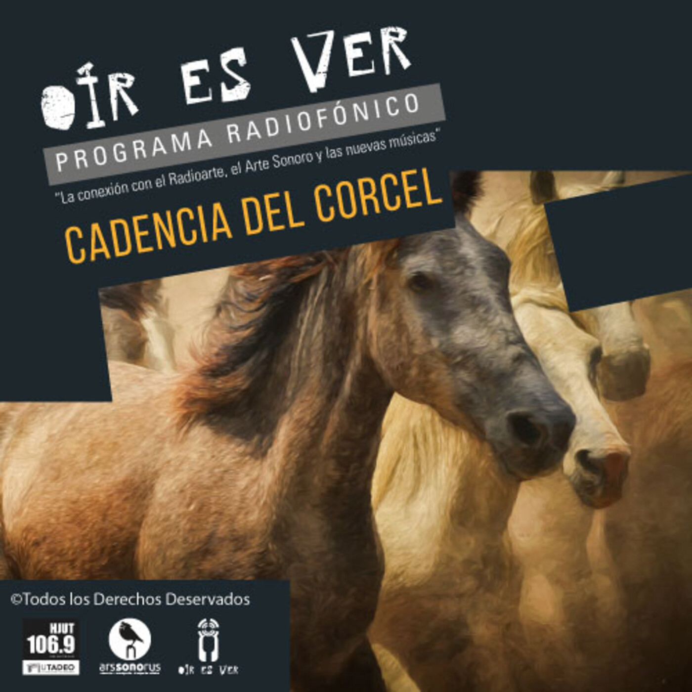 OIR ES VER