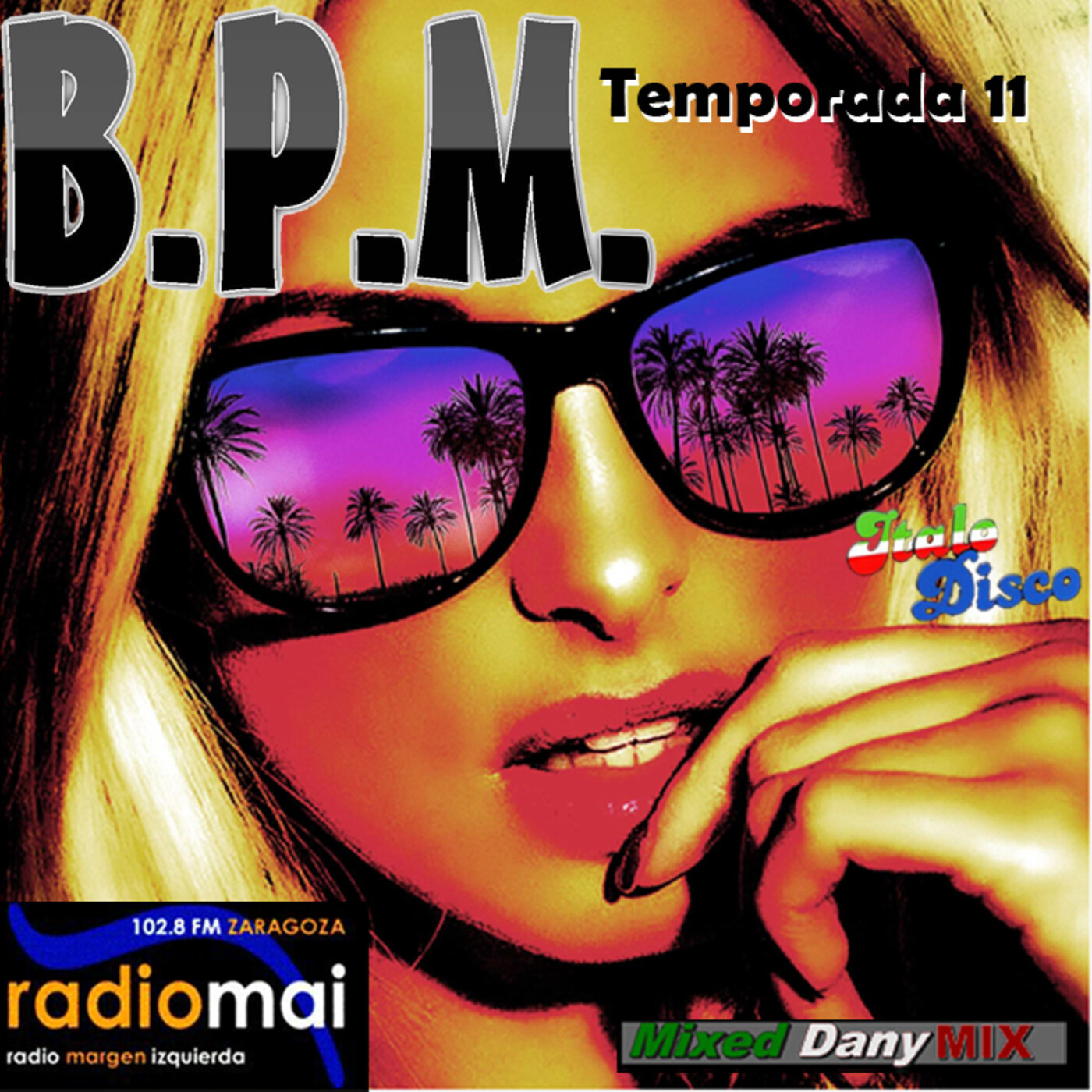 BPM Radio Project