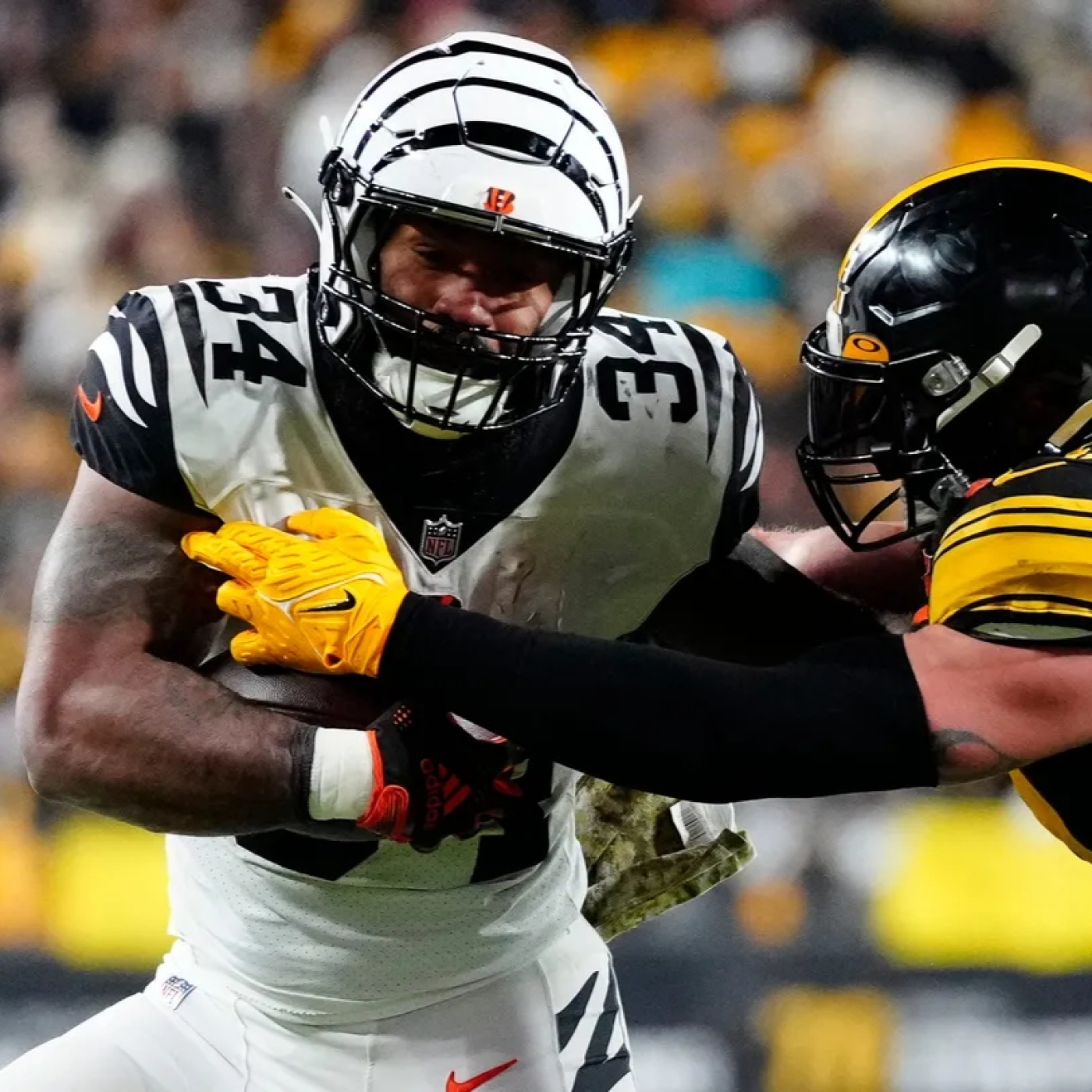 La Jungla Hispana - Bengals.es