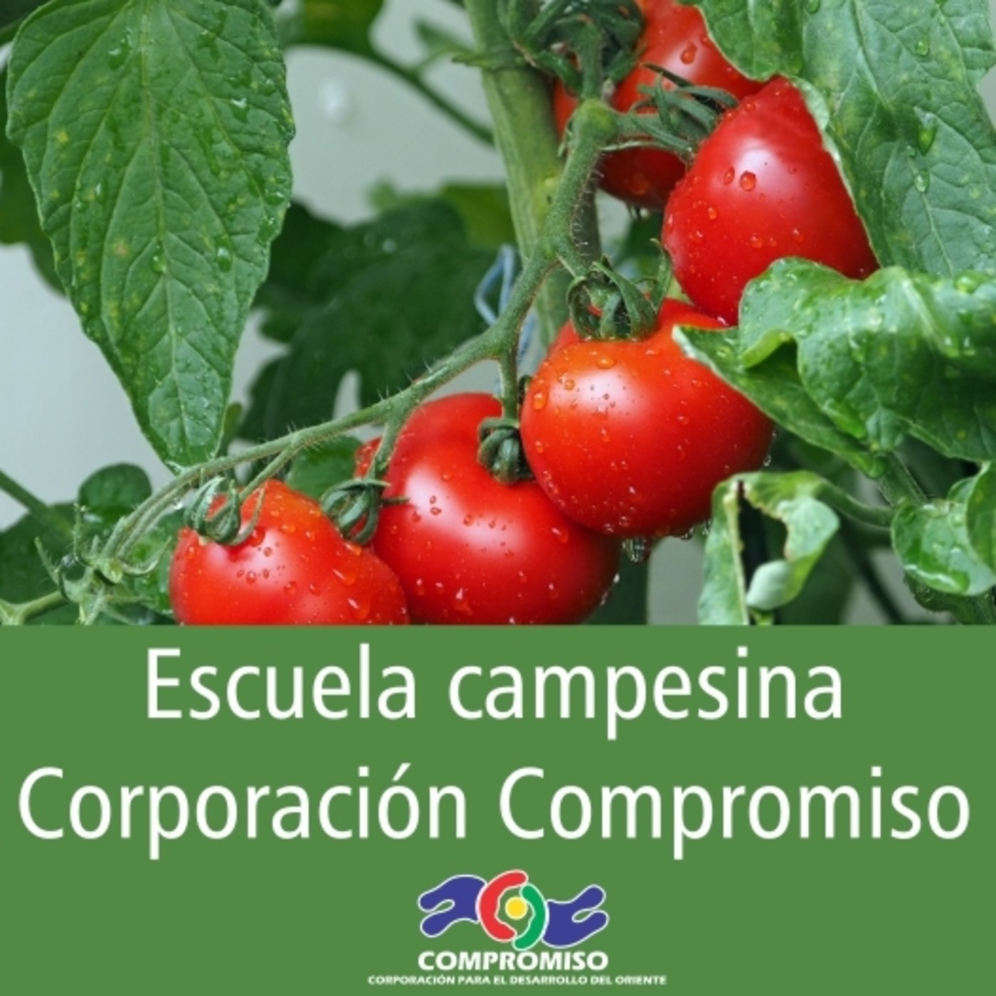 Podcast Emisora comunitaria La Brújula