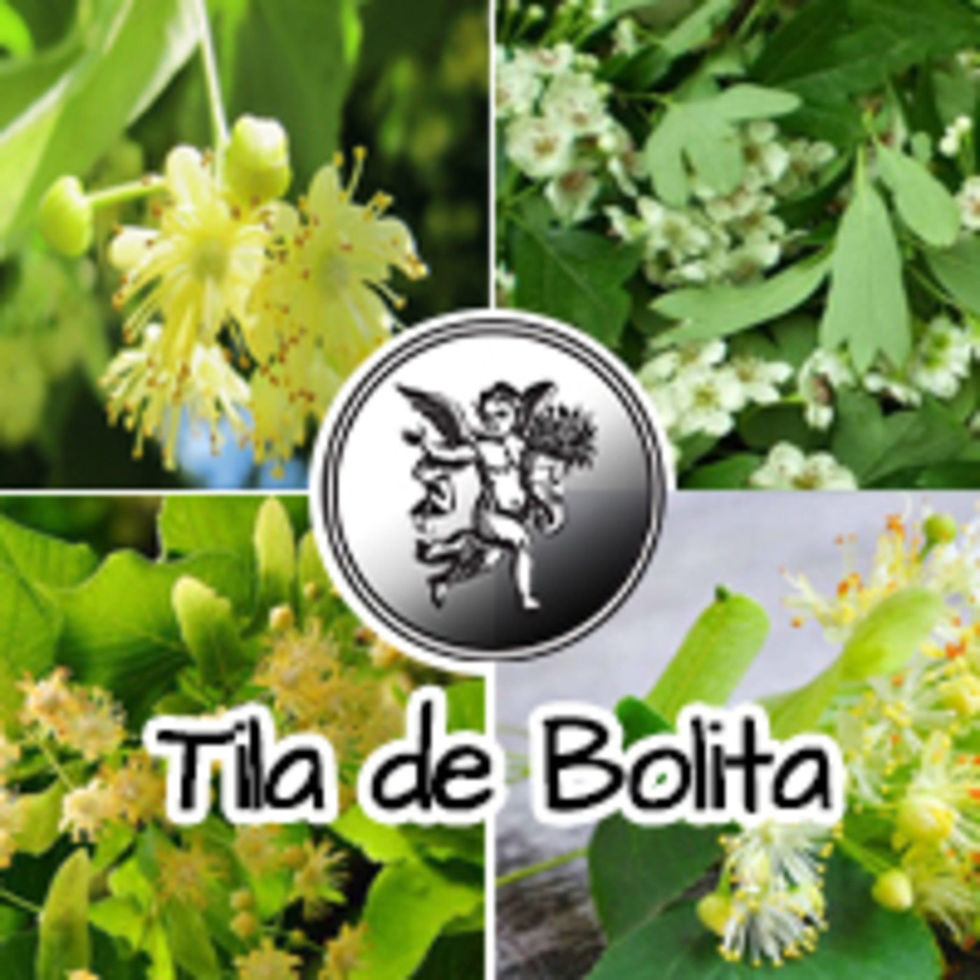 El Ángel de tu Salud - TILA DE BOLITA ****