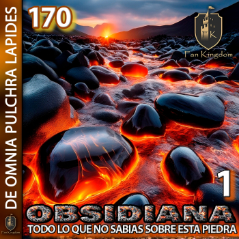 embed image