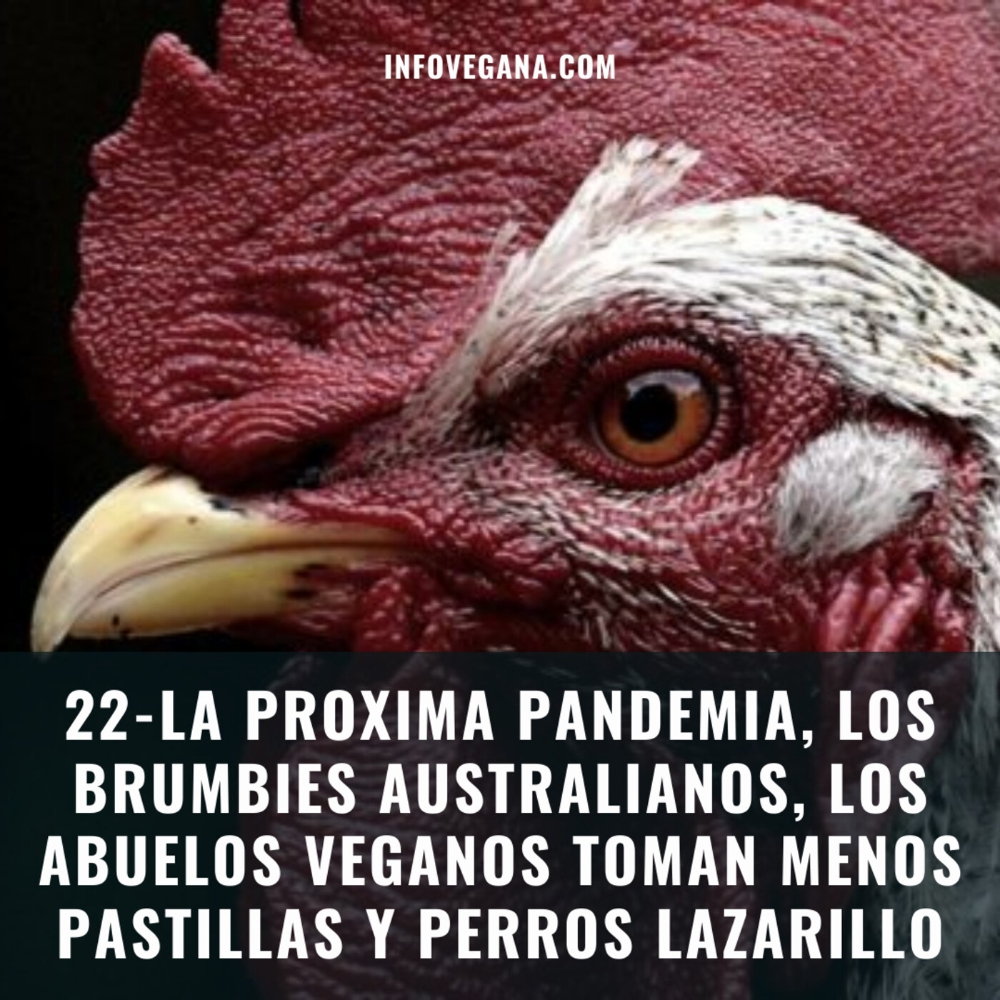 Infovegana, podcast de veganismo y sostenibilidad
