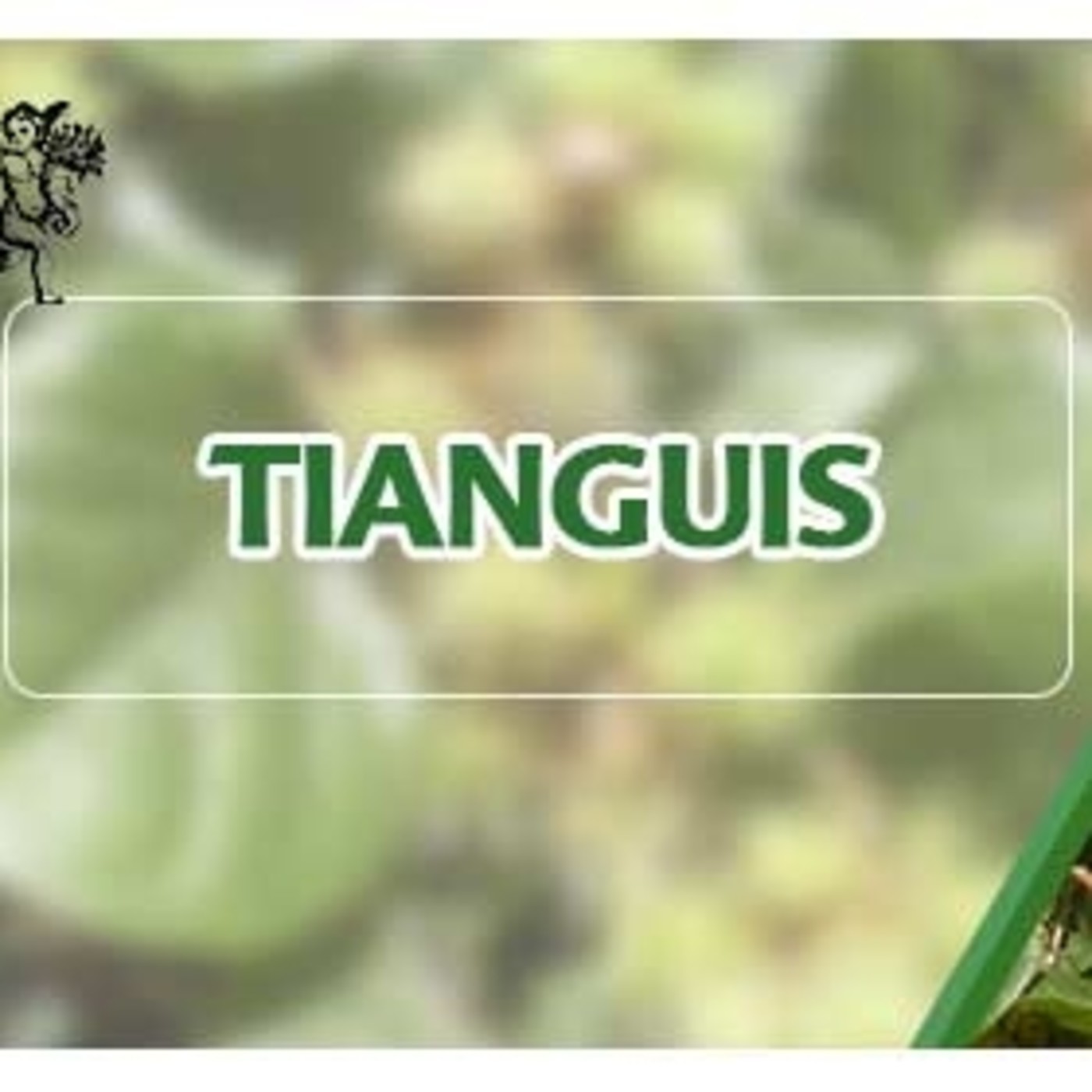 El Ángel de tu Salud - TIANGUIS*