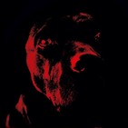 Programa 409 - Entrevista NO DOGS