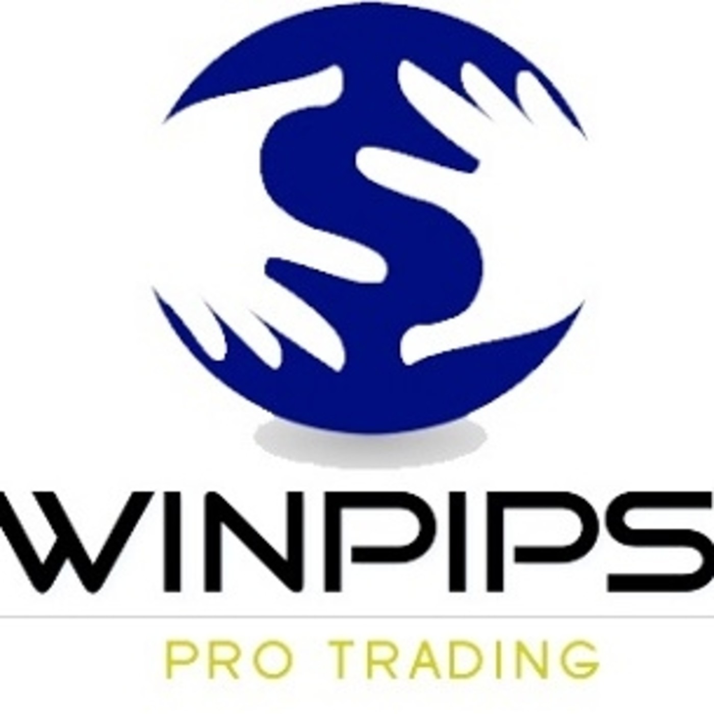 Reglas en el trading, disciplina y flexibilidad| Winpips Reglas en el trading, disciplina y flexibilidad| Winpips