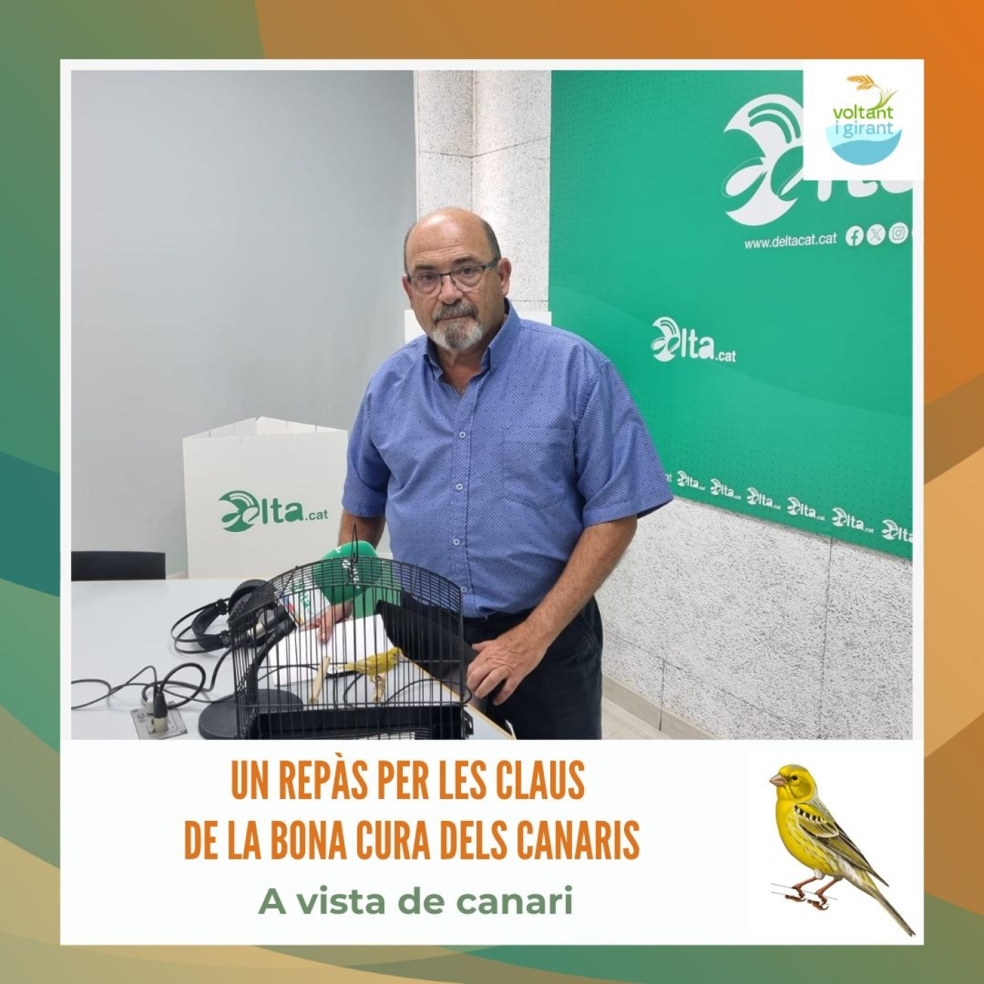 Un repàs per les claus de la bona cura dels canaris episode artwork