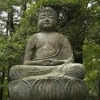Buddhismo y Coyuntura actual