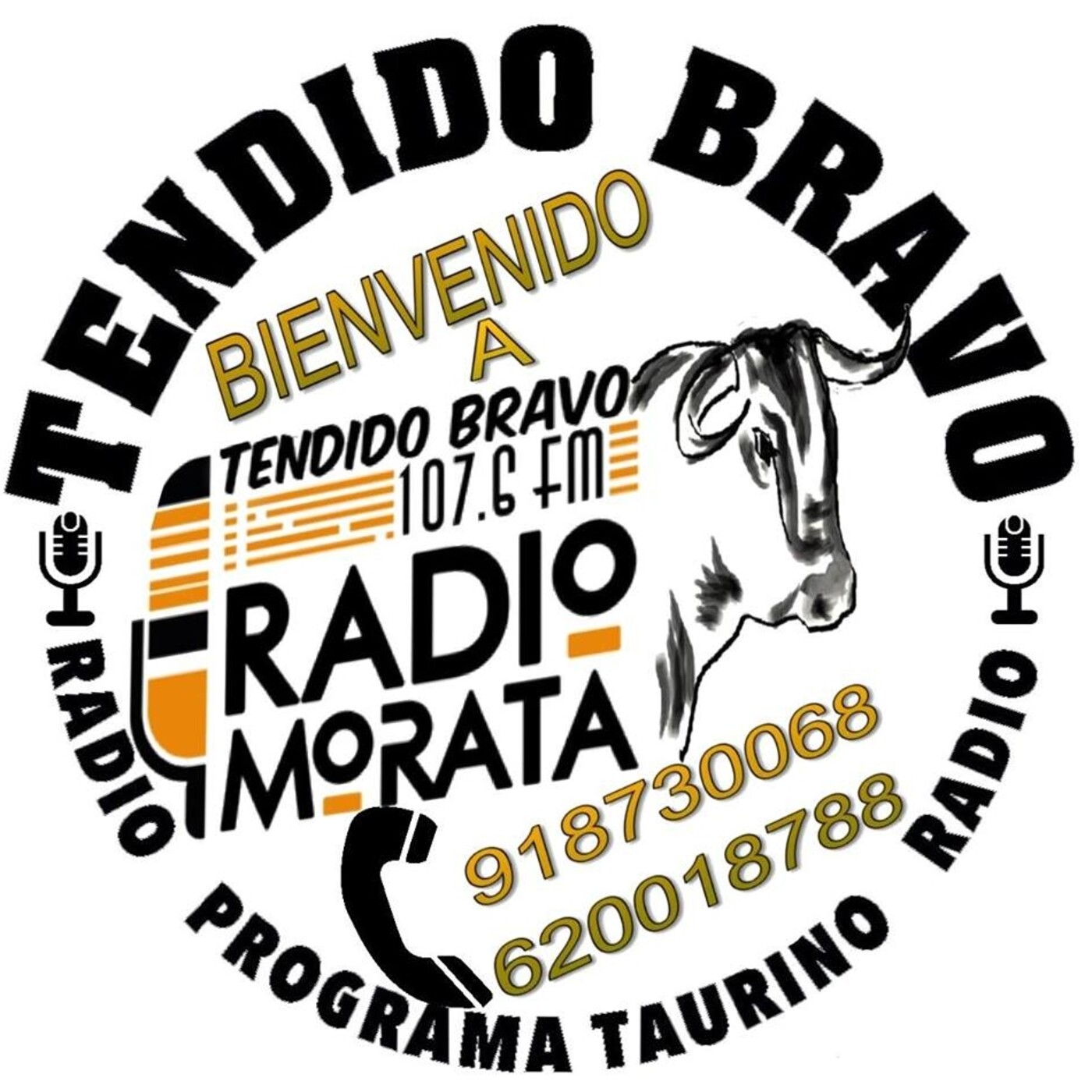 Podcast de Chule De Torres Corpa