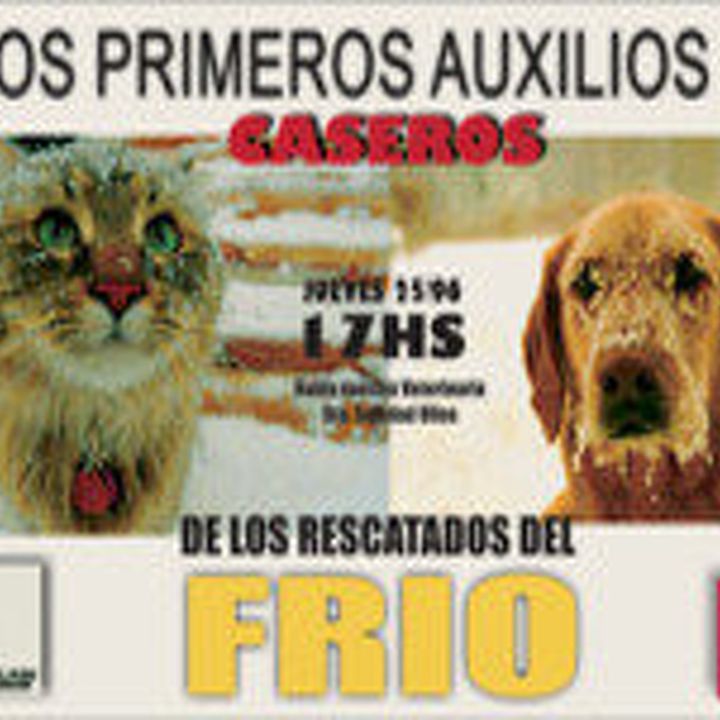 Entrevistas a cara de perro