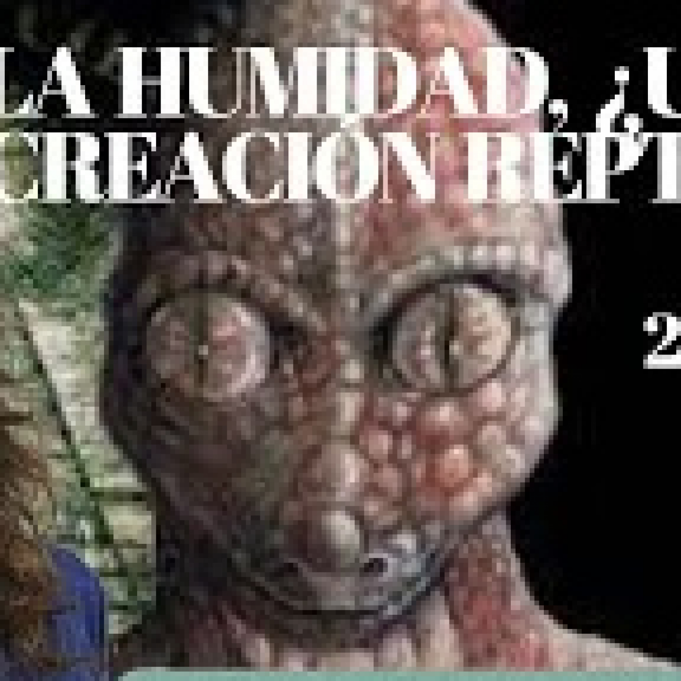 LA HUMANIDAD, UNA CREACION REPTILIANA. 2ª Parte episode artwork