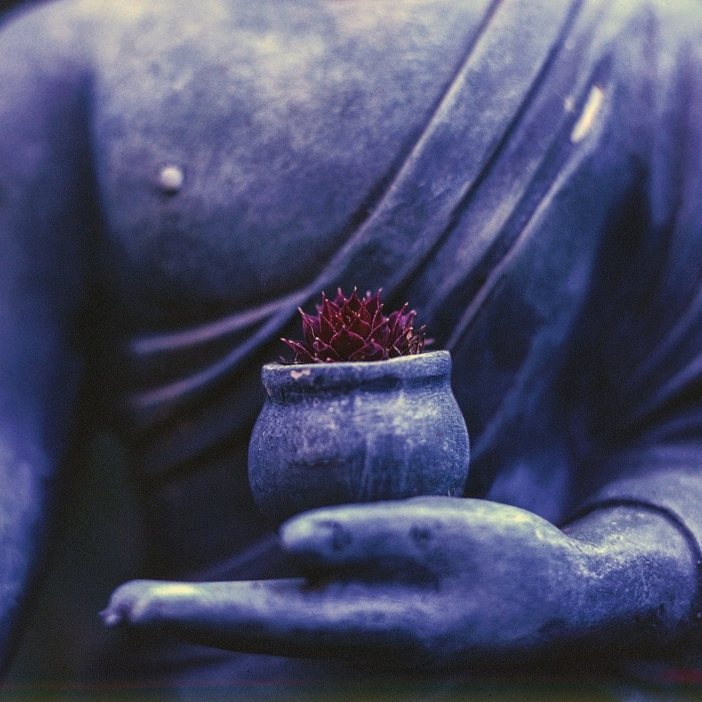 Fertilidad Espiritual T3 - EP- 25 episode artwork