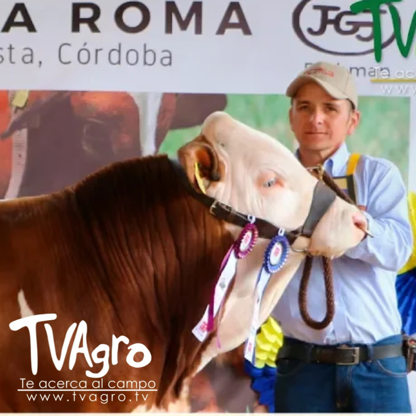 TV AGRO