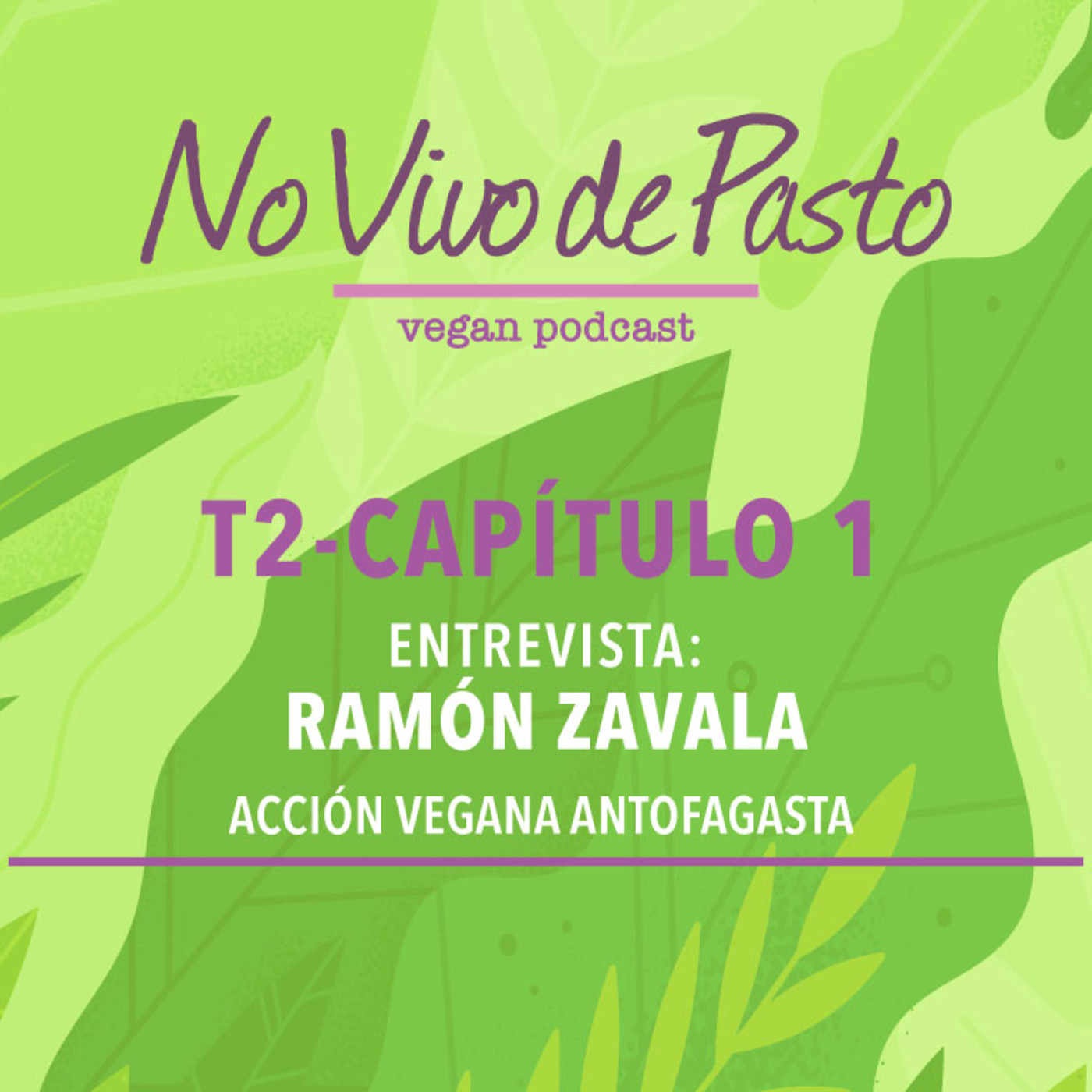 No Vivo de Pasto