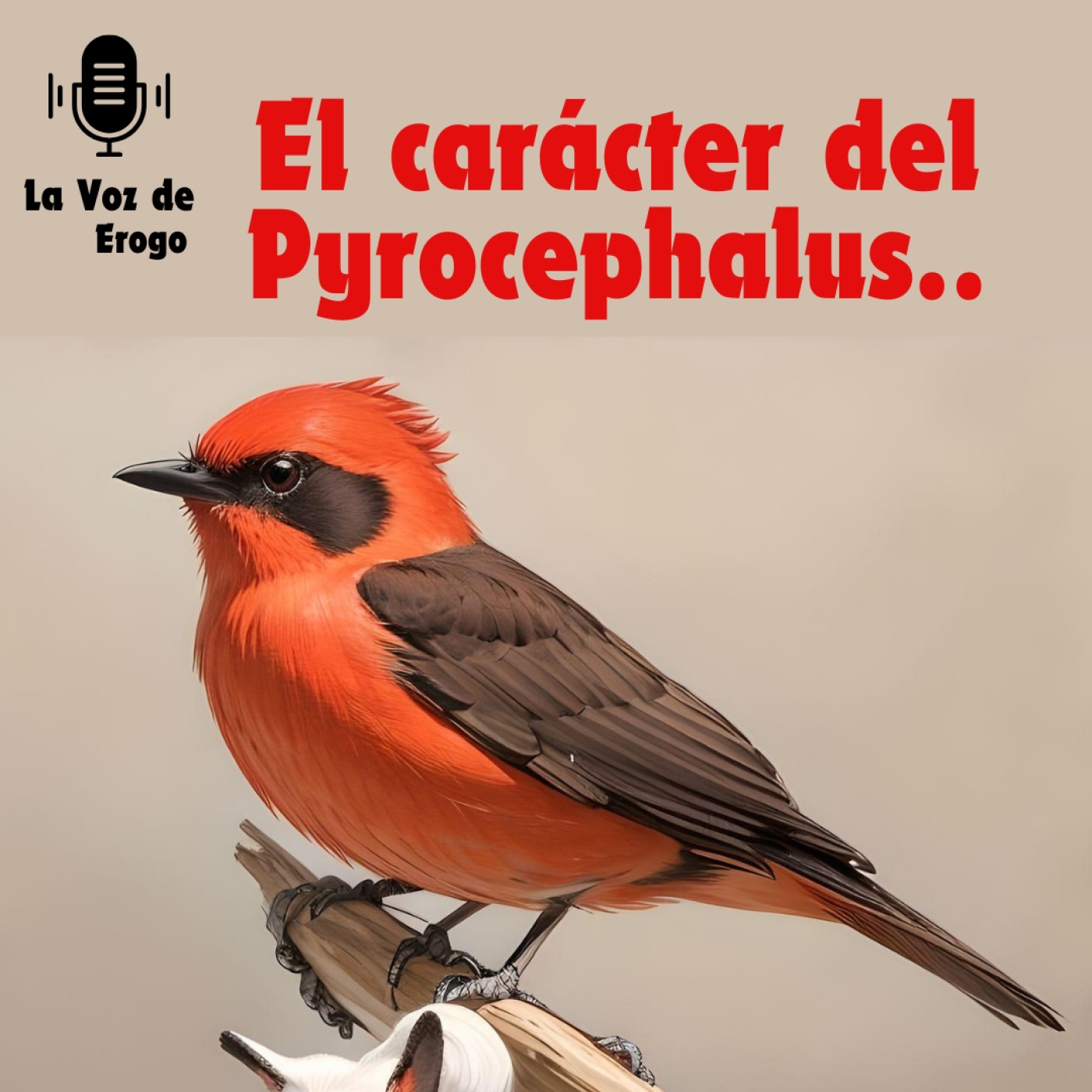 LA VOZ DE EROGO