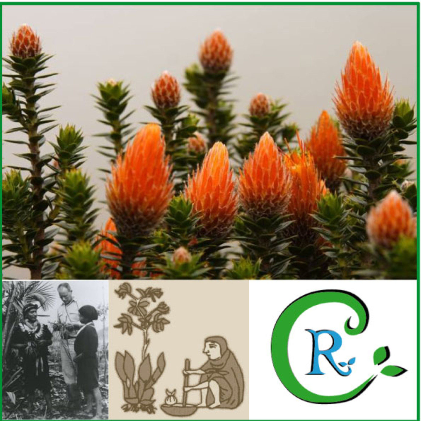 Relictum Con Ciencia